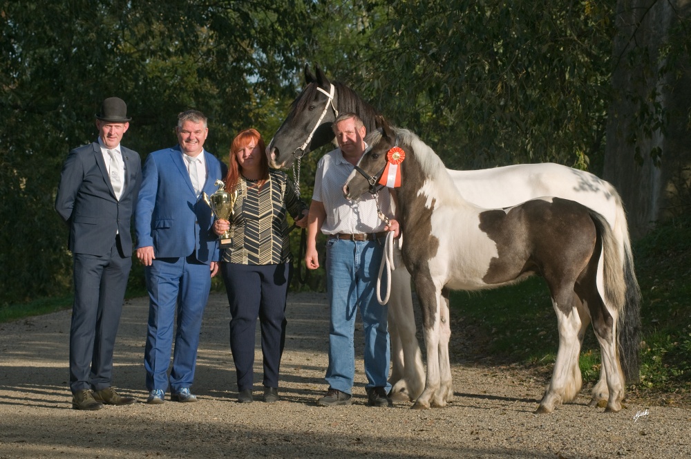 Rezervn&iacute; &scaron;ampion Svodu kon&iacute; BP 2018