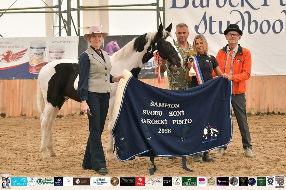 Sampion svodu