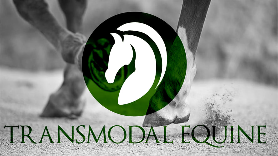 transmodal equine